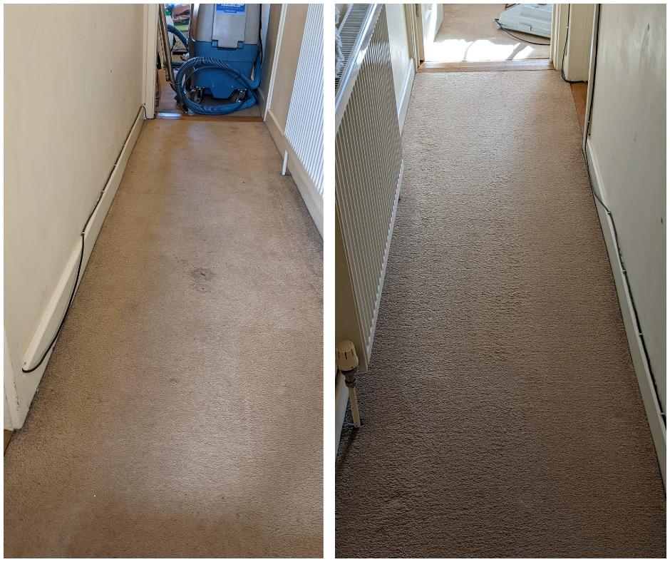 Ed's Carpet Cleaning Ed's Carpet Cleaning